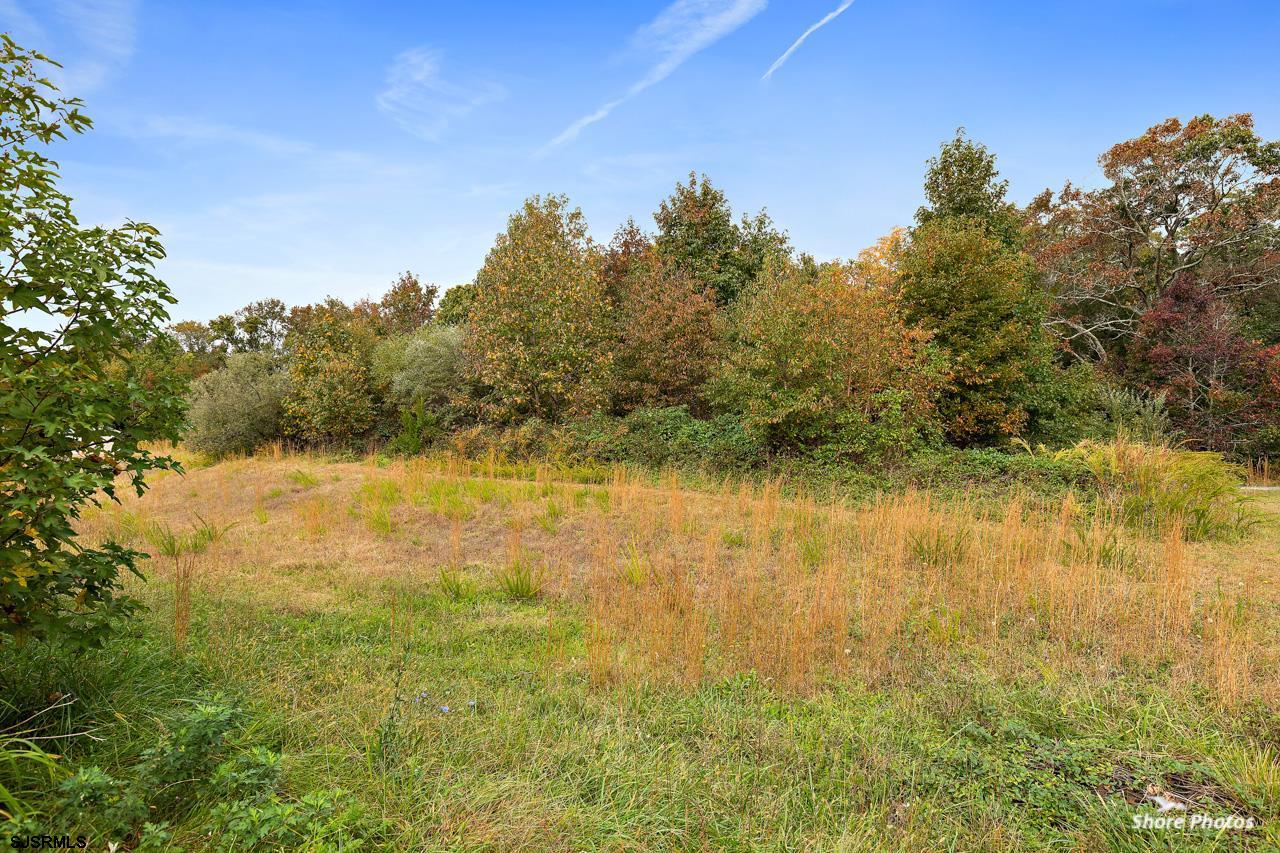 49 Killdeer Hill Road Woodbine, NJ 08270 - Photo 56 of 56 a view of lake with green space