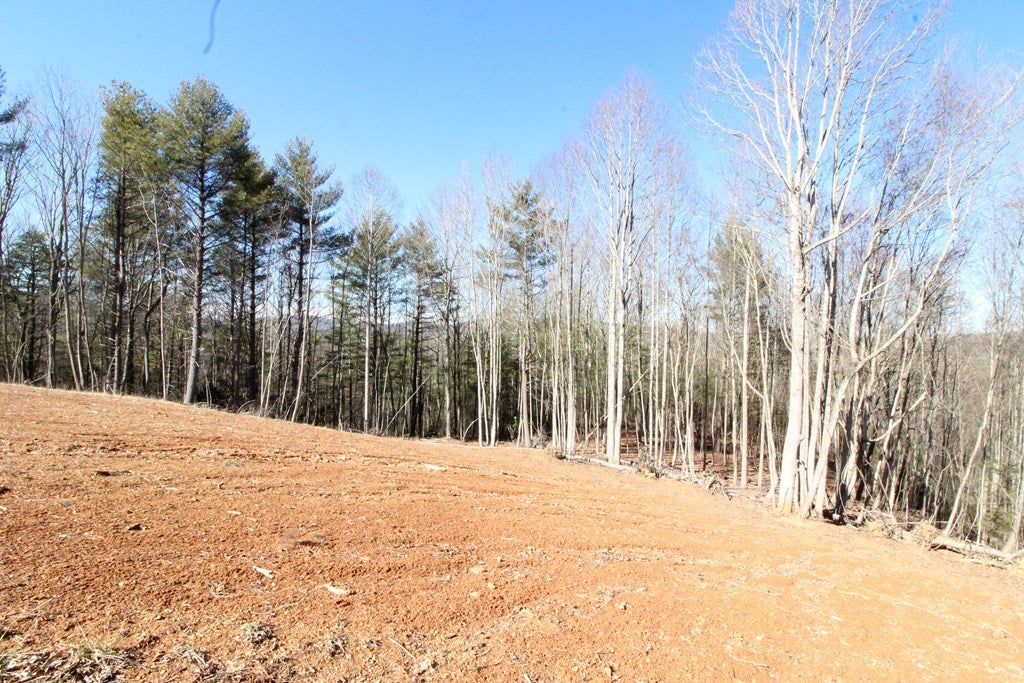 Tbd Ivanhoe Road, Unit 60A34 Fries, VA 24330 - Photo 42 of 45 Gallery Image 42