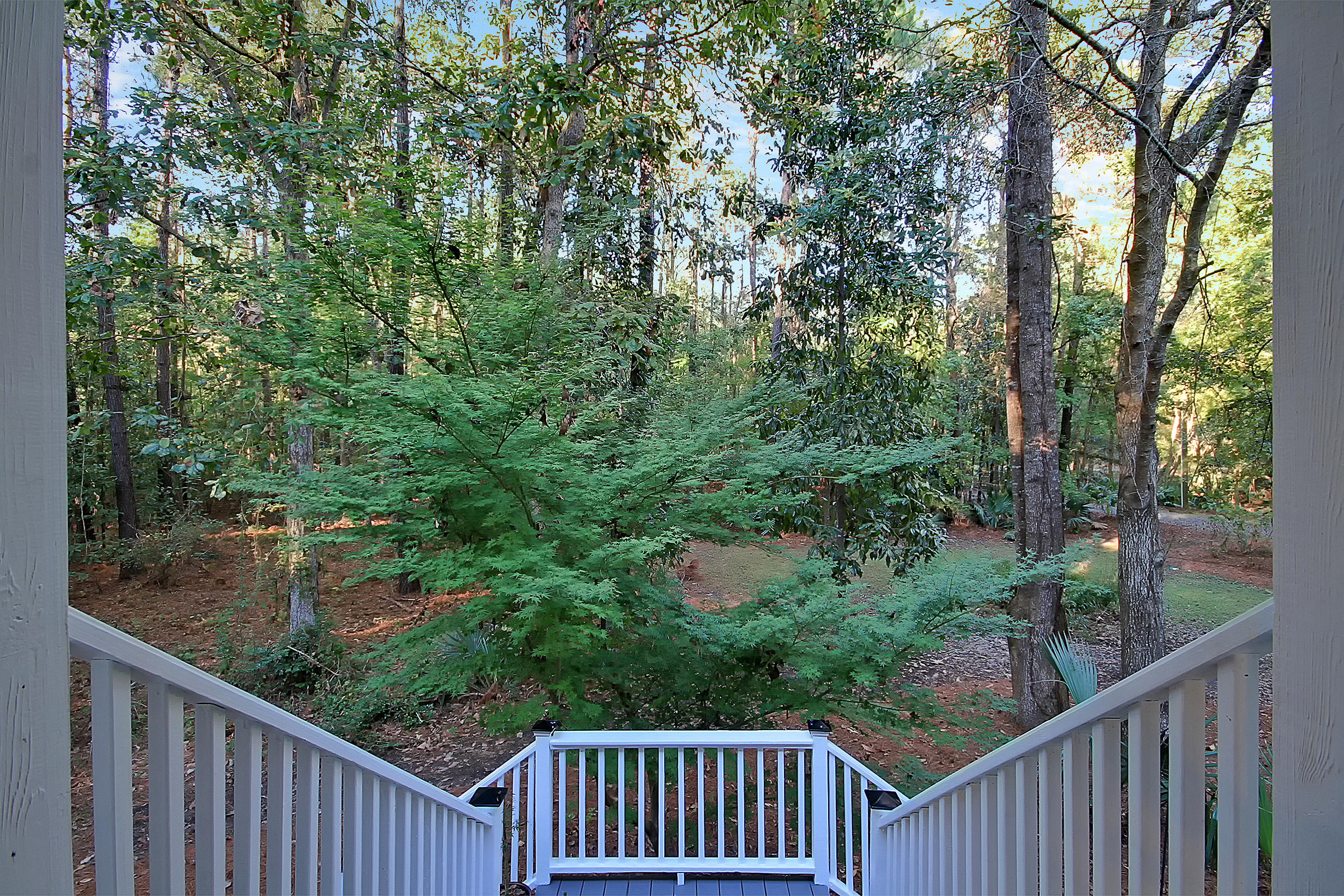 7385 Rep Road Meggett, SC 29449 - Photo 11 of 52 IMG_2747_IMG_2750 copy