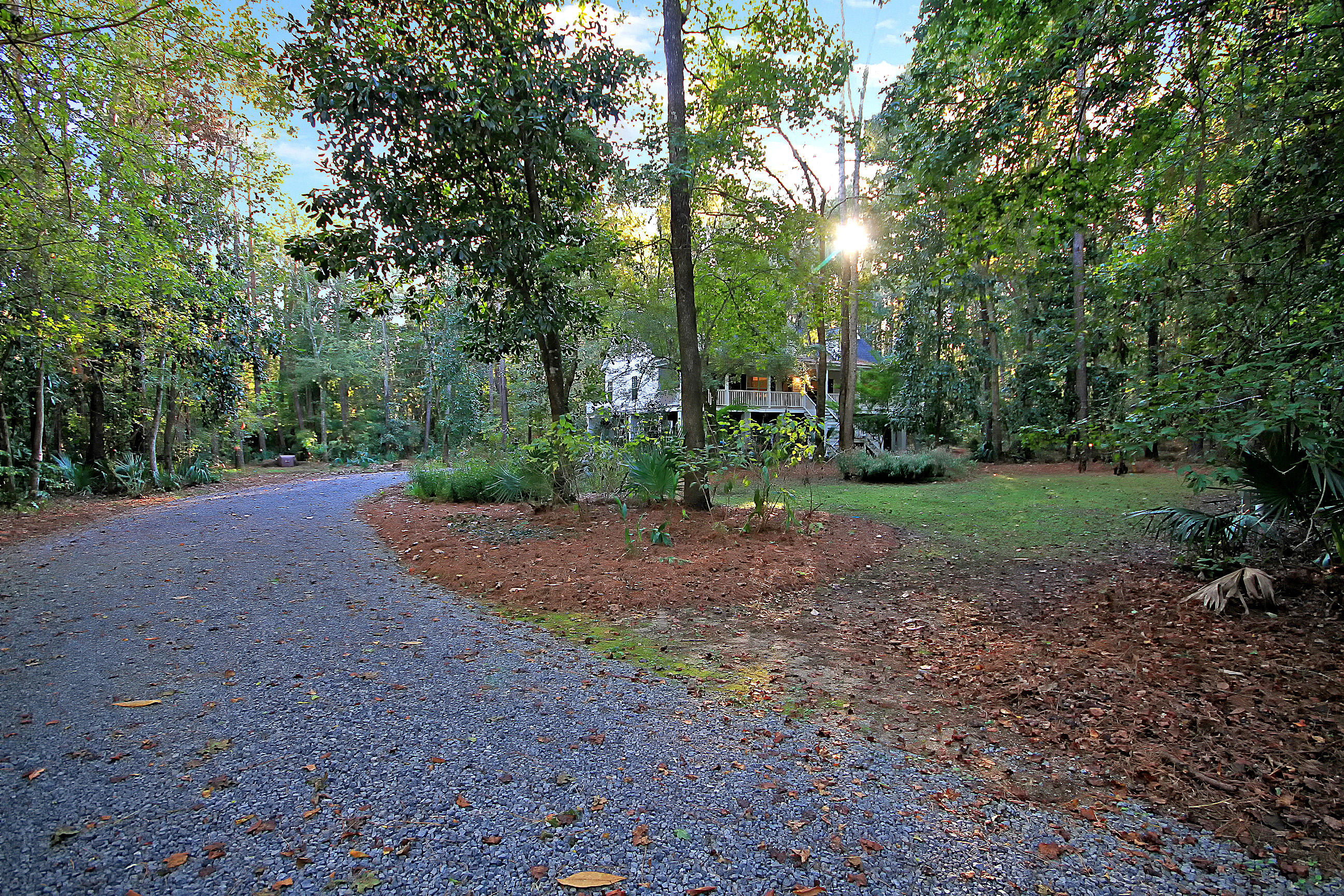 7385 Rep Road Meggett, SC 29449 - Photo 44 of 52 IMG_2845 copy