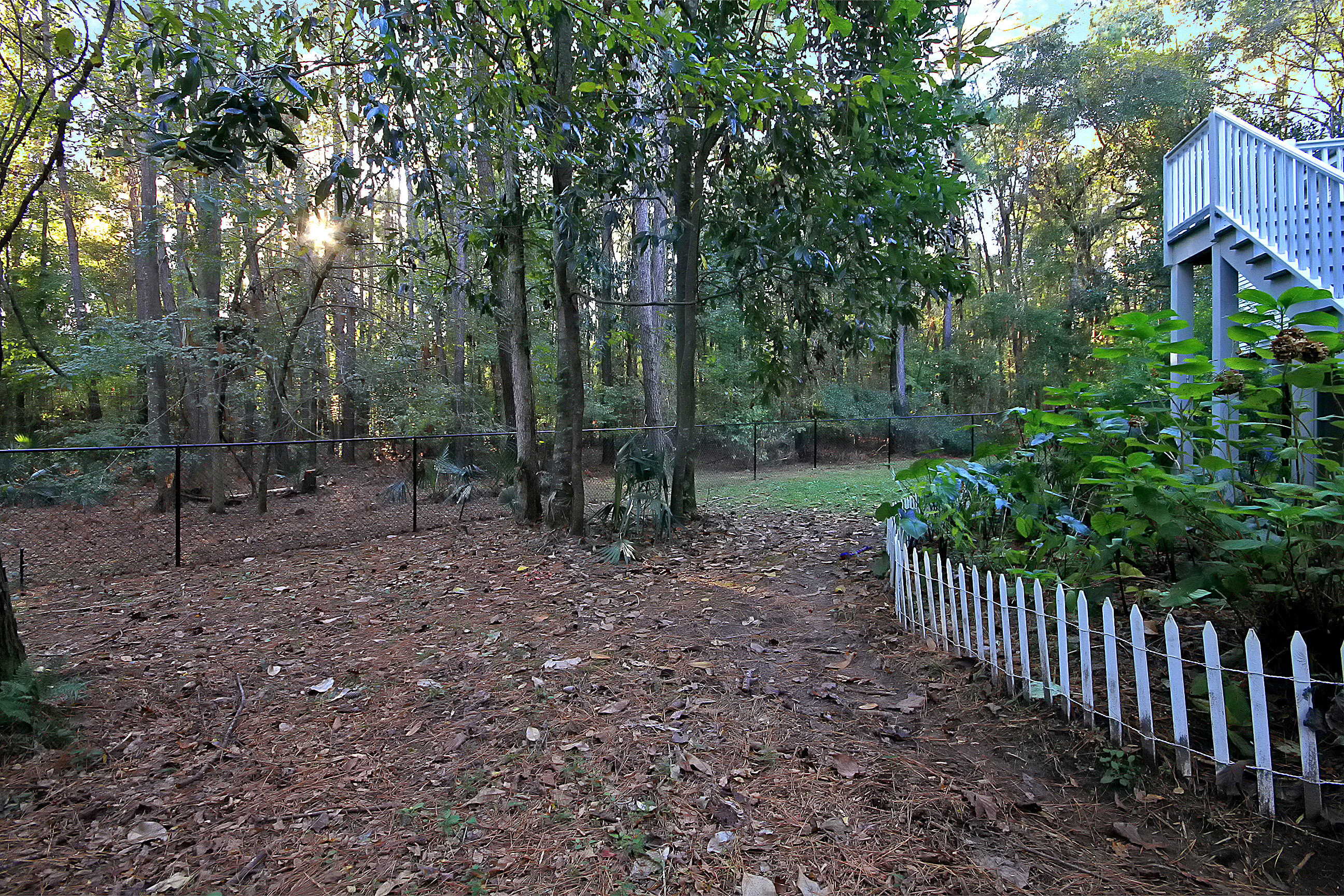 7385 Rep Road Meggett, SC 29449 - Photo 47 of 52 IMG_2901 copy