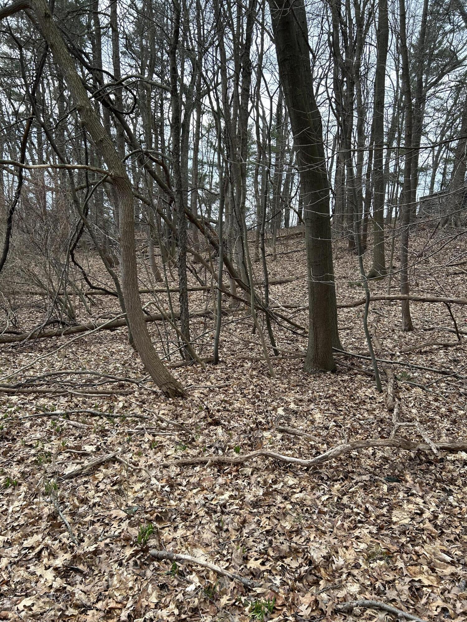 Smugglers Pass Pentwater, MI 49449 - Photo 4 of 5 IMG_0645