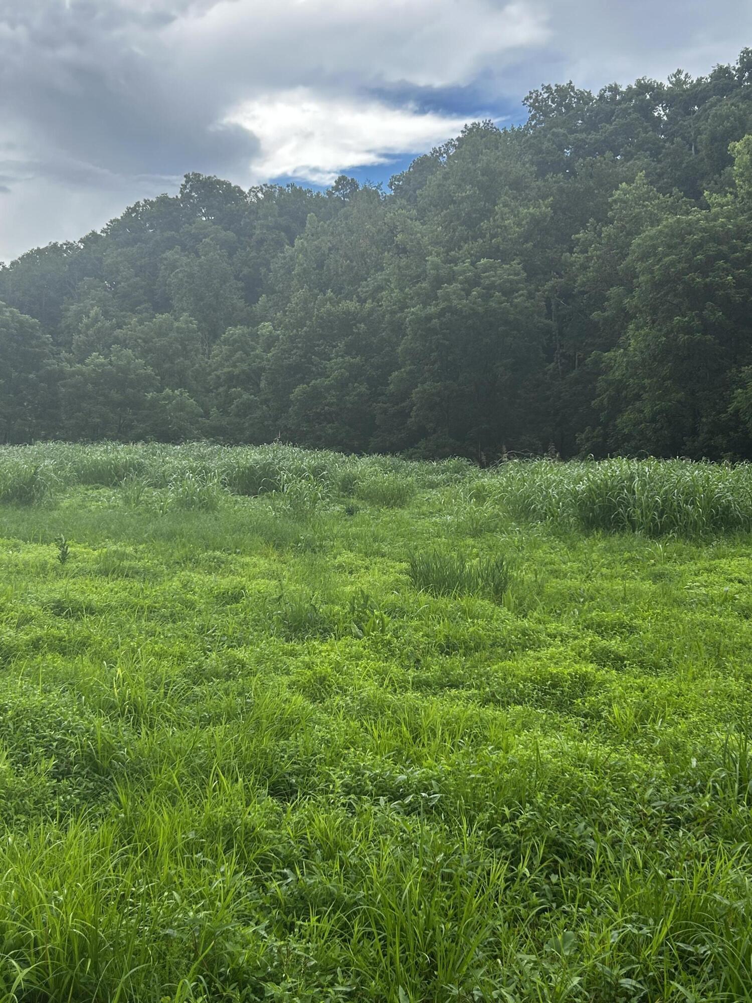 687 H M Henry Garrison Road Manchester, KY 40962 - Photo 6 of 16 IMG_3760