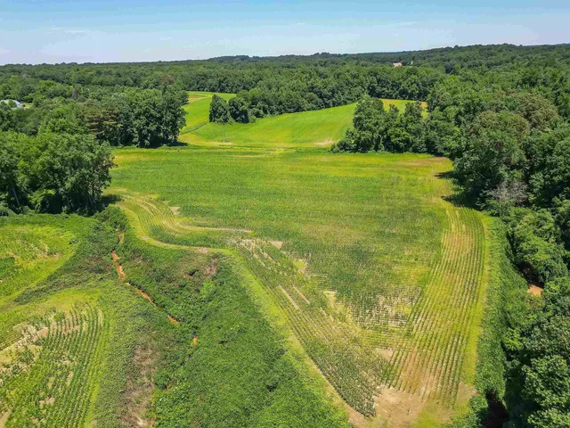 a view of a lake with a city