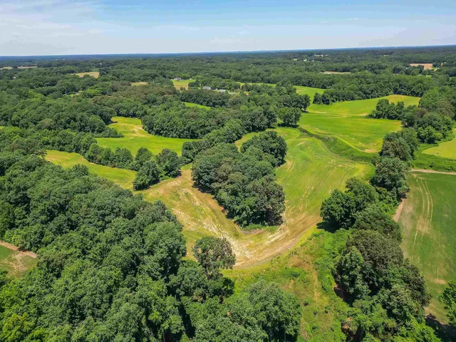 an aerial view of residential houses with outdoor space and trees all around