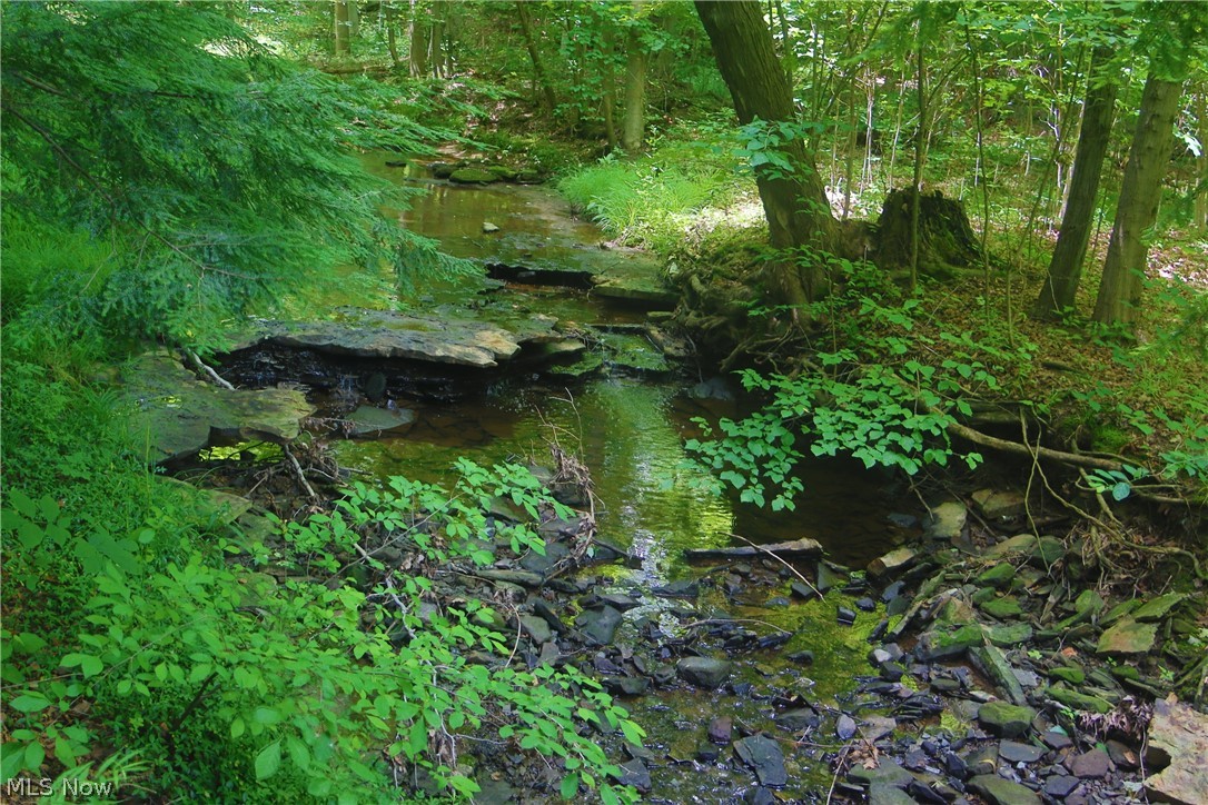 7250 Brakeman Road Painesville, OH 44077 - Photo 11 of 17 Wooded property featuring a natural stream with rock formations and varied green foliage