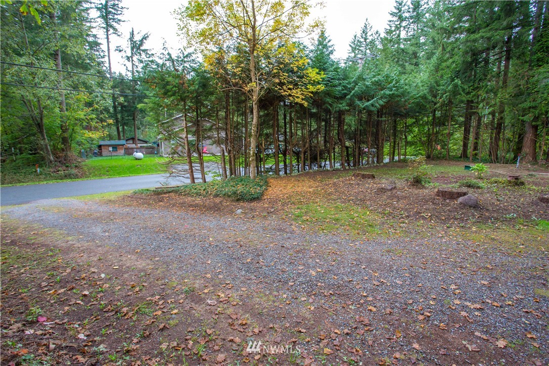 6161 Shamrock Road Maple Falls, WA 98266 - Photo 6 of 24 Gallery Image 6