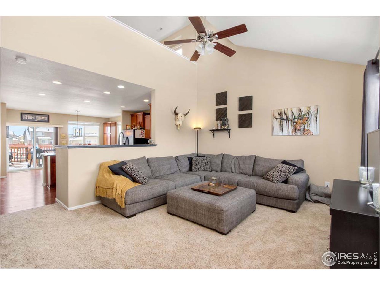 Vaulted Living Space