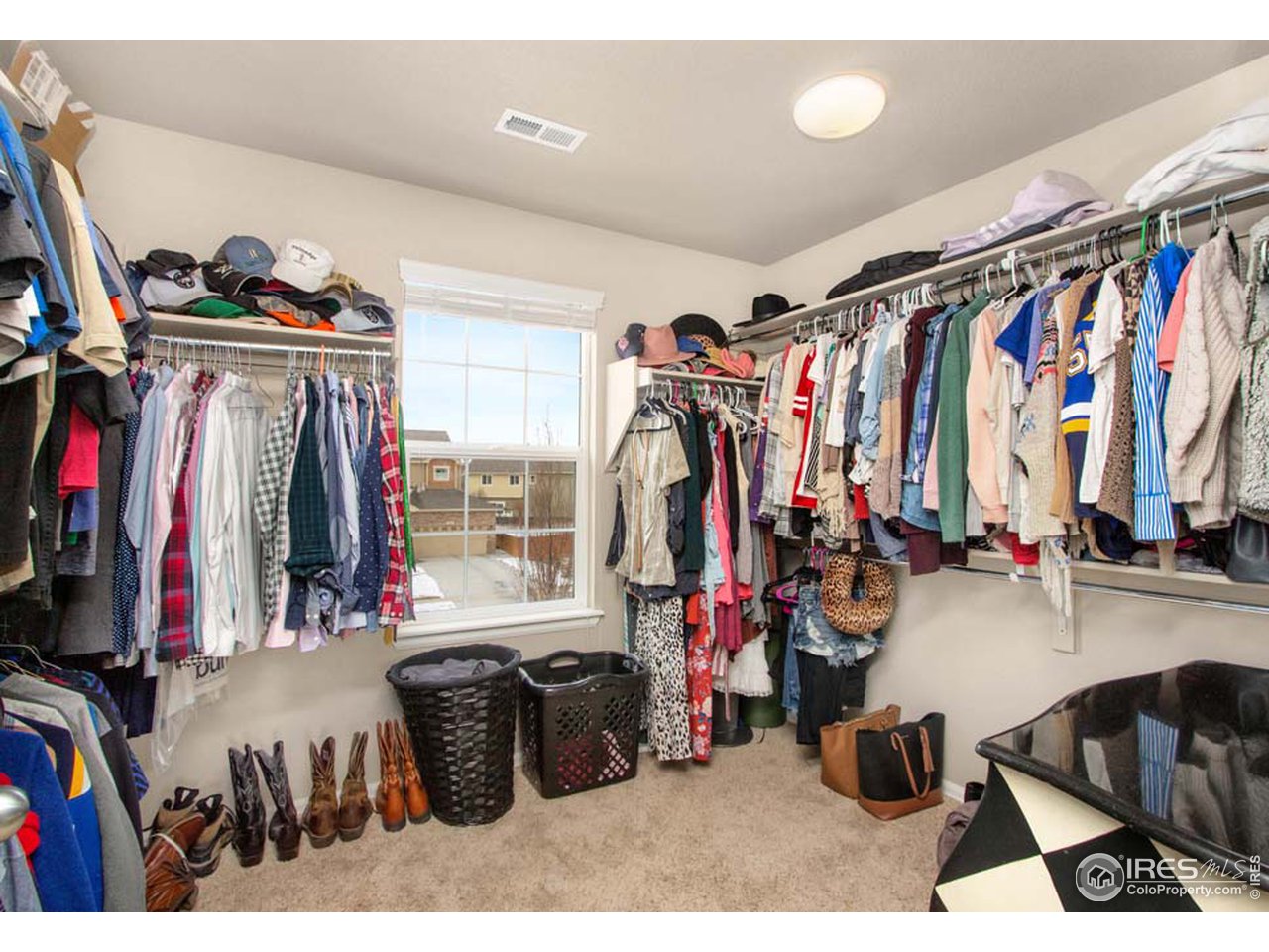 938 Trading Post Road Fort Collins, CO 80524 - Photo 22 of 26 Huge Walk-in Closet with Natural Light