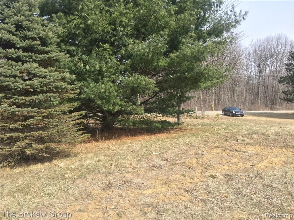 3841 Brown Road Vassar, MI 48768 - Photo 3 of 15