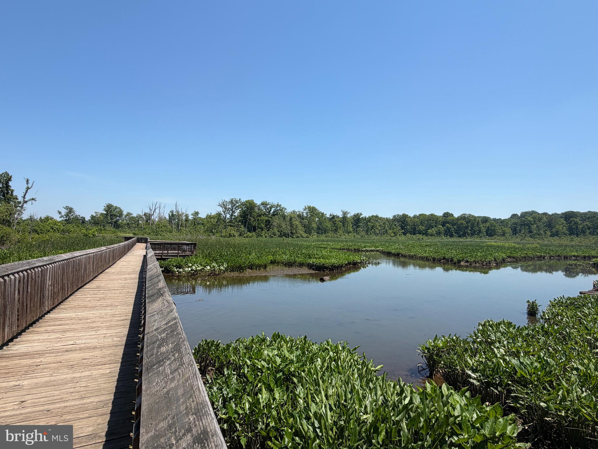 1304 Bryan Point Road Accokeek, MD 20607 - Photo 126 of 127