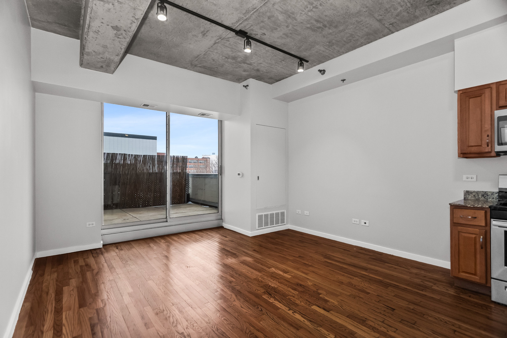 1620 South Michigan Avenue, Unit 324 Chicago, IL 60616 - Photo 4 of 23 a view of a room with wooden floor