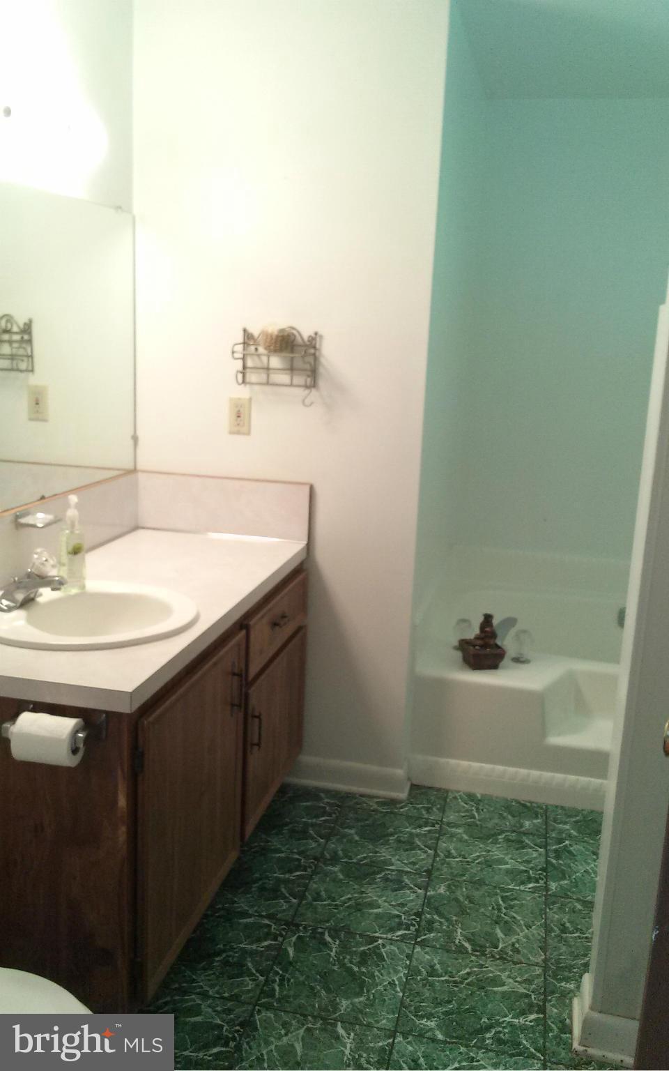 577 Whissens Ridge Road Winchester, VA 22602 - Photo 19 of 24 Bath