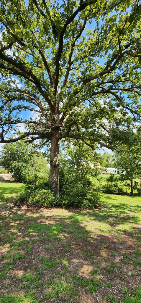 2120 County Line Road Dothan, AL 36305 - Photo 55 of 68