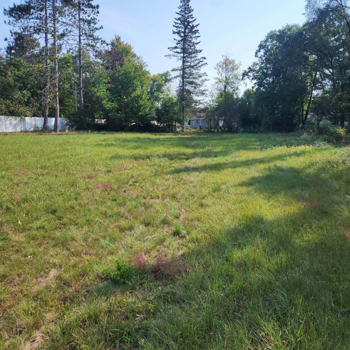 2036 Locust Street Stevens Point, WI 54481 - Photo 4 of 5