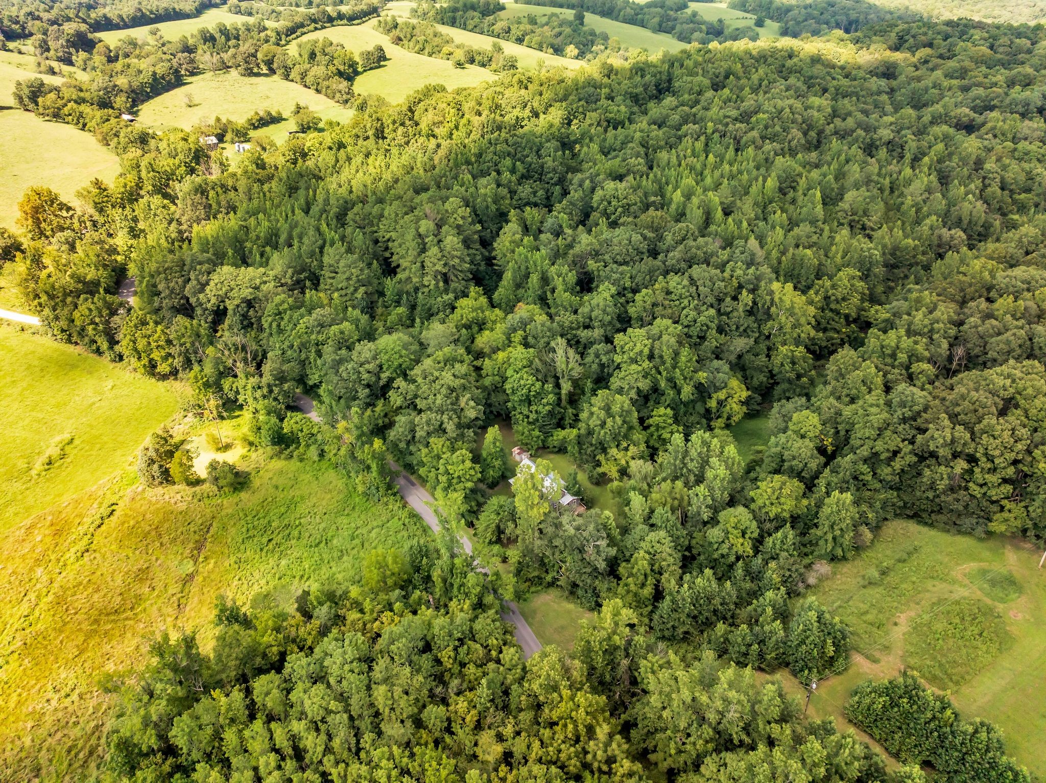 5114 Tennessee Ridge Road Waverly, TN 37185 - Photo 12 of 59 Gallery Image 12