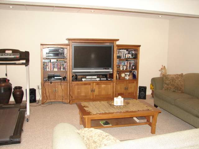 8475 West Mound Road Lena, IL 61048 - Photo 9 of 9 a living room with furniture and a flat screen tv