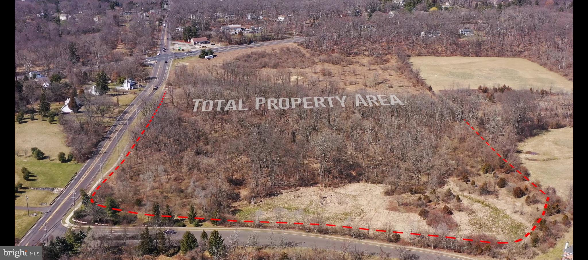 a view of a dry yard with trees