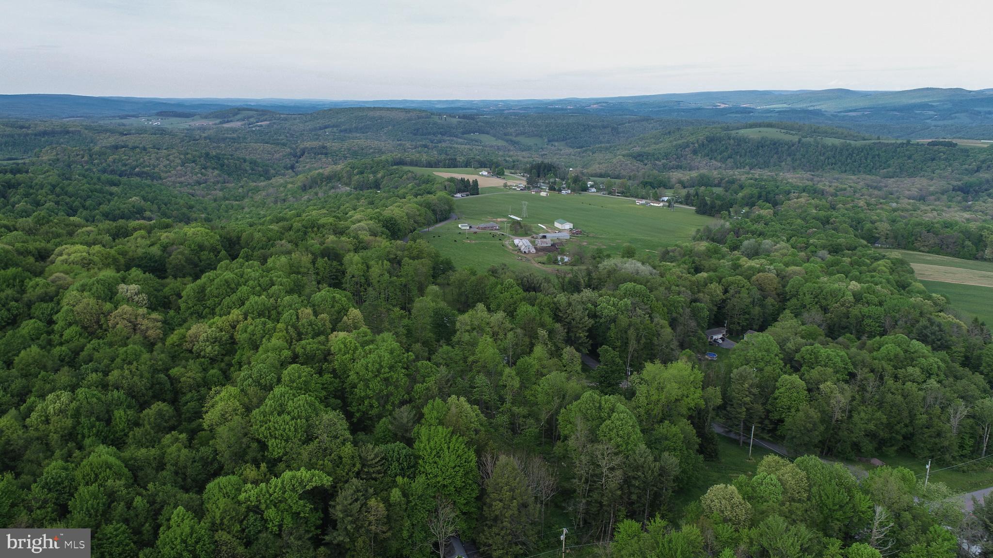 Greengables Road Friendsville, MD 21531 - Photo 6 of 18 an aerial view of forest