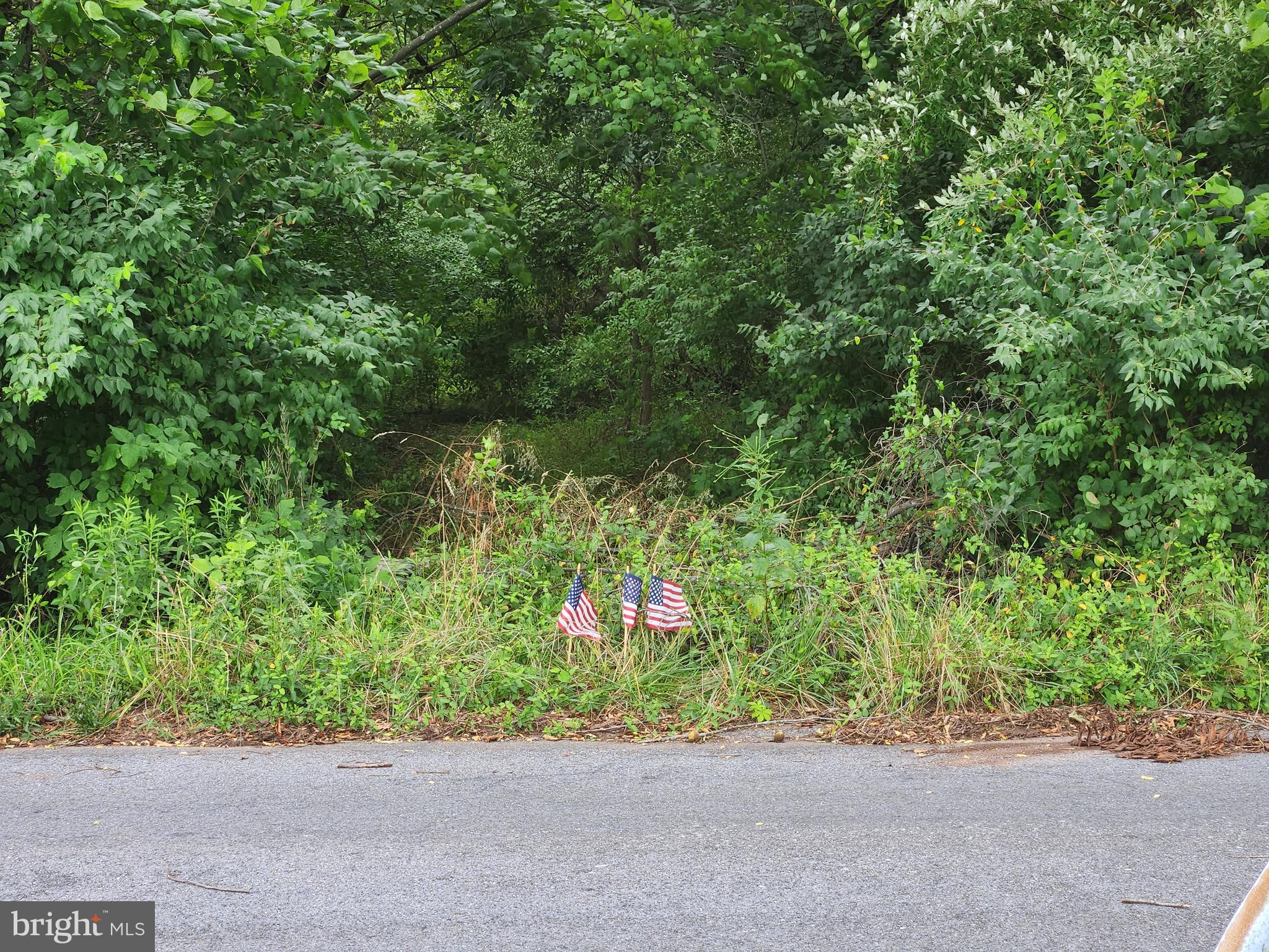 14700 Sugarland Road Poolesville, MD 20837 - Photo 3 of 6 Facing the Lot