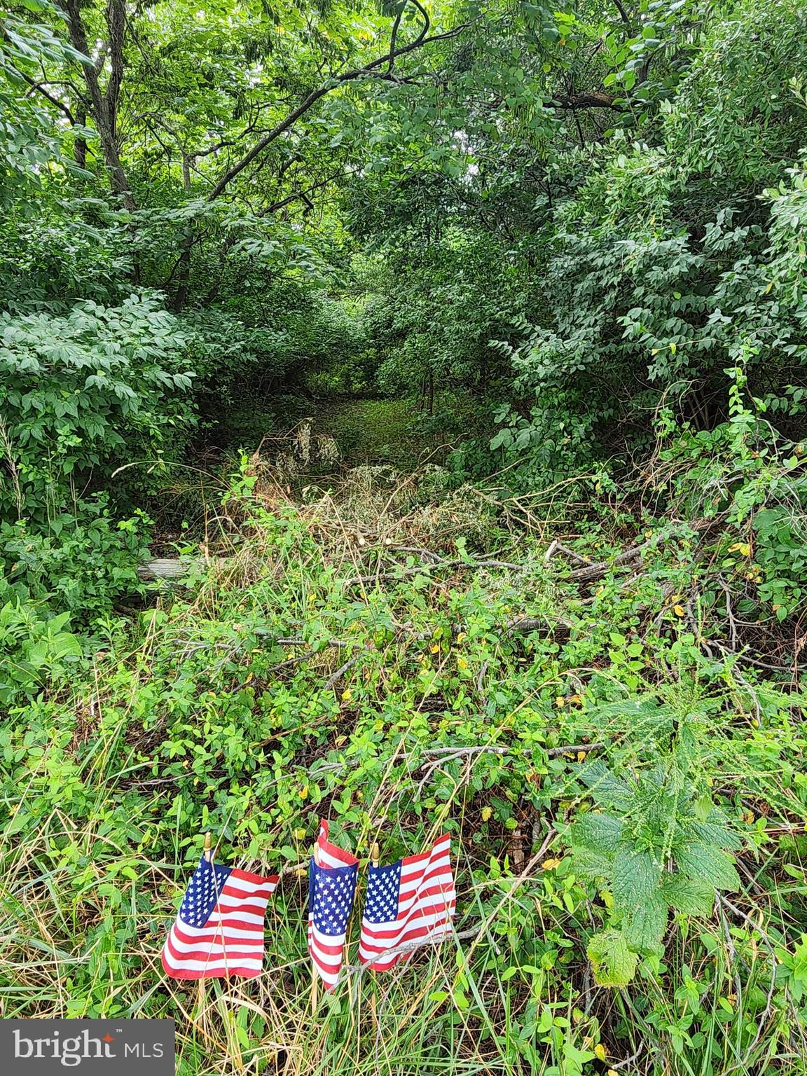 14700 Sugarland Road Poolesville, MD 20837 - Photo 6 of 6 Lot