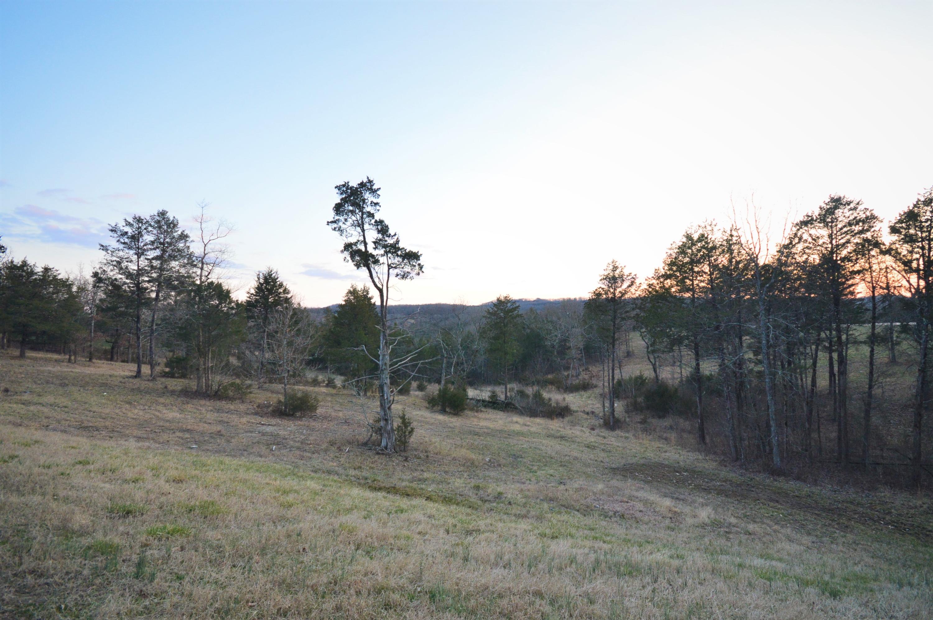 125 Ranch Road Chestnutridge, MO 65630 - Photo 1 of 1 DSC_0033 (2)