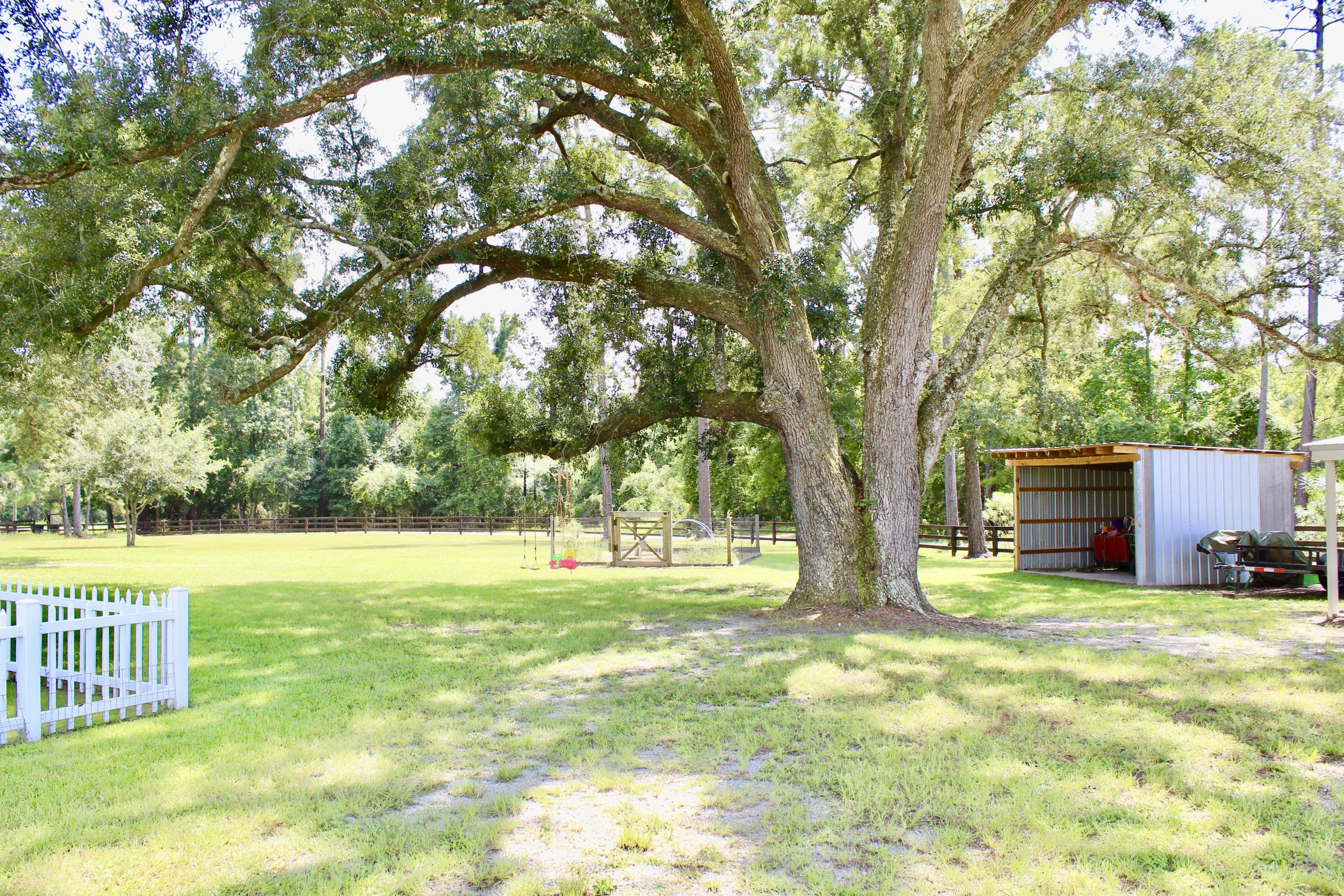 63 Suggs Road Freeport, FL 32439 - Photo 34 of 81 Suggs Trees