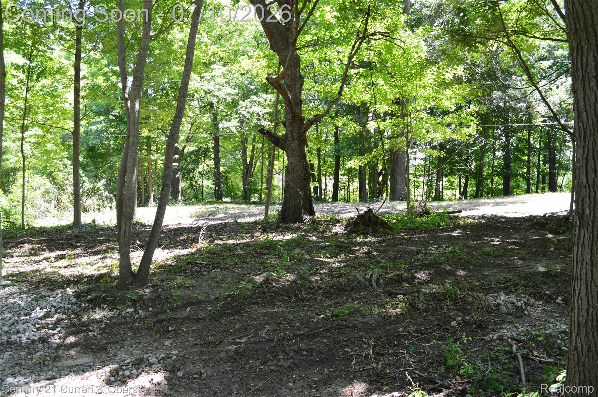 13505 Island Lake Road Chelsea, MI 48118 - Photo 17 of 23 cleared land