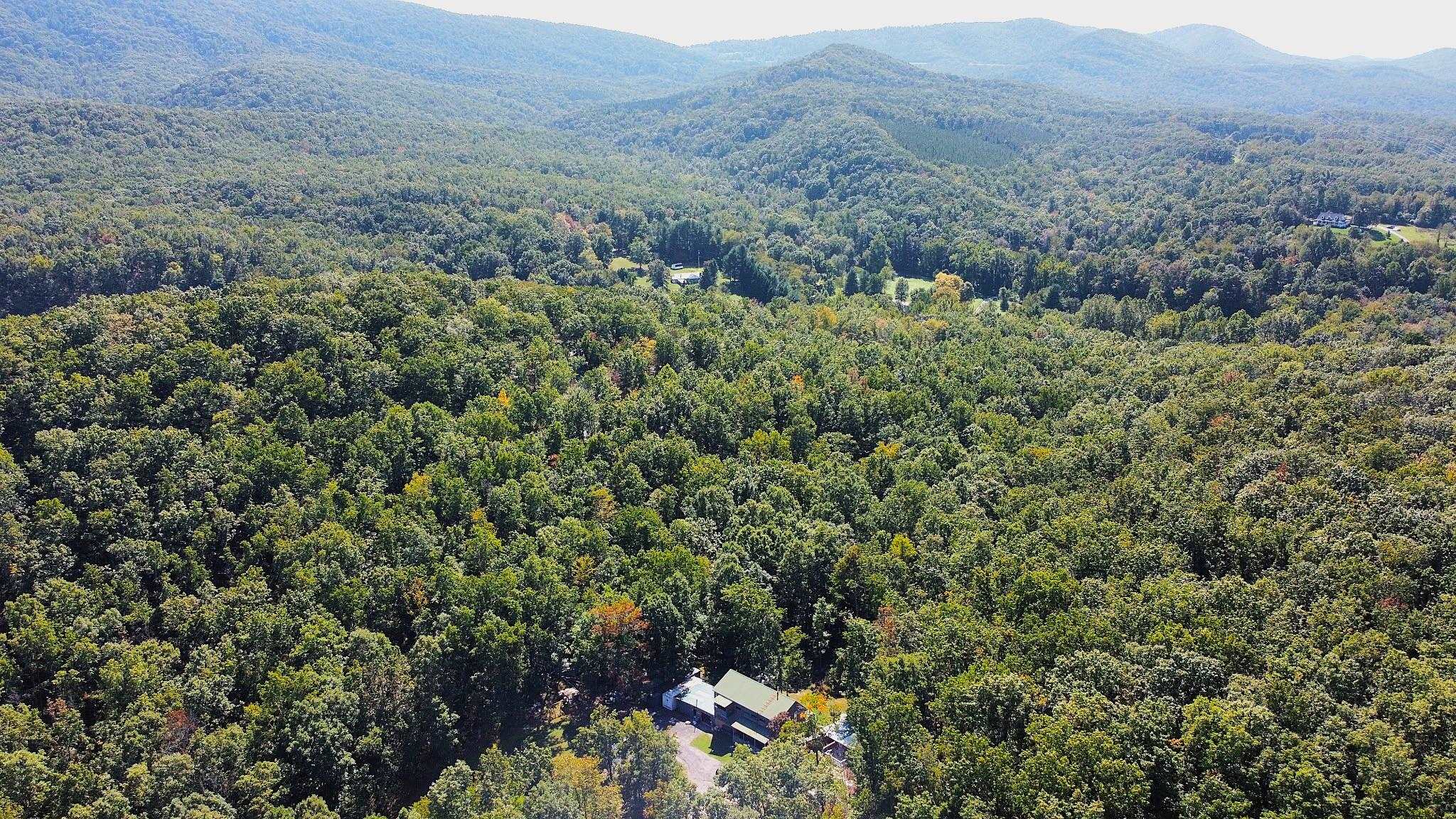 113 Calf Mountain Road Waynesboro, VA 22980 - Photo 16 of 53