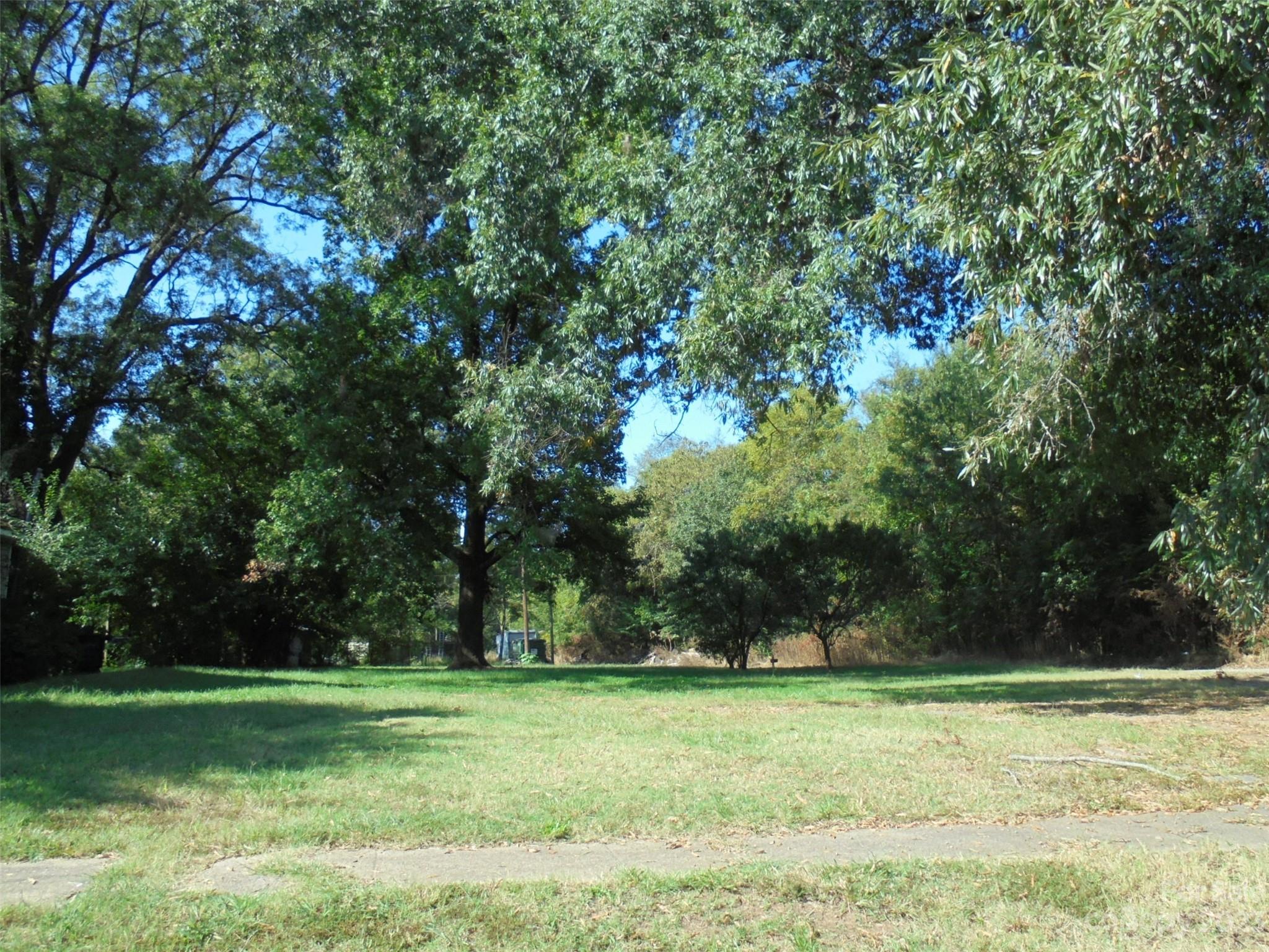 a view of a grassy field with trees