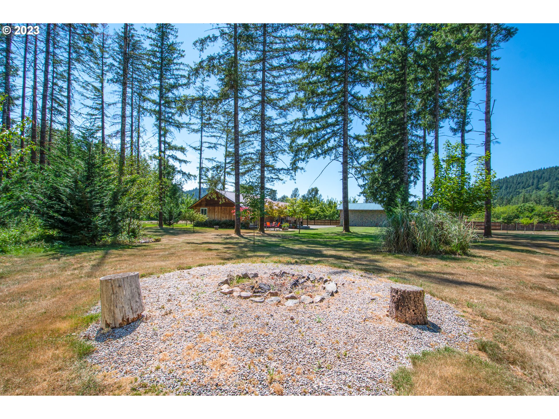 30400 Northeast Healy Road Amboy, WA 98601 - Photo 25 of 48 a view of a yard with plants and trees