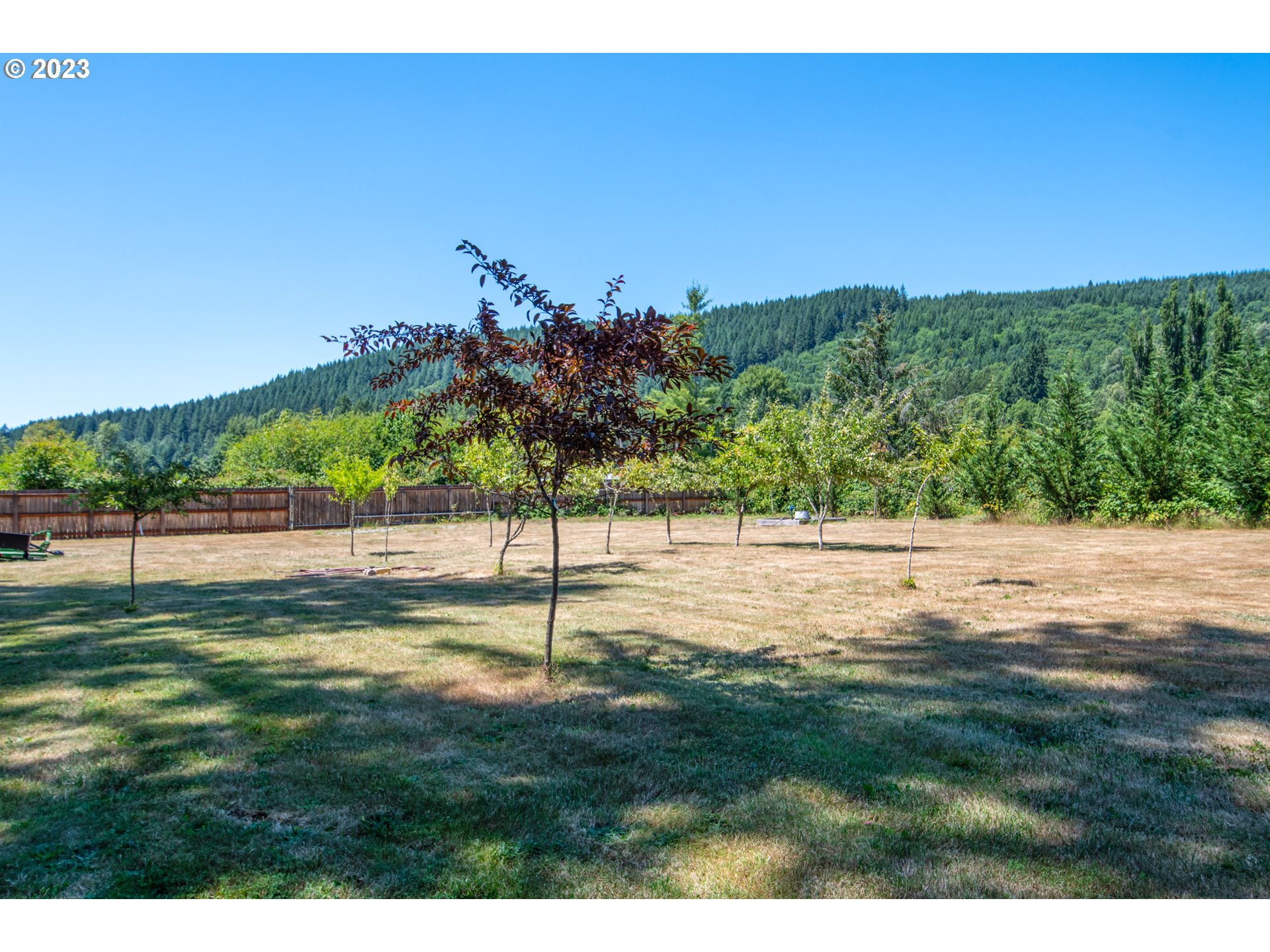 30400 Northeast Healy Road Amboy, WA 98601 - Photo 26 of 48 a view of a park