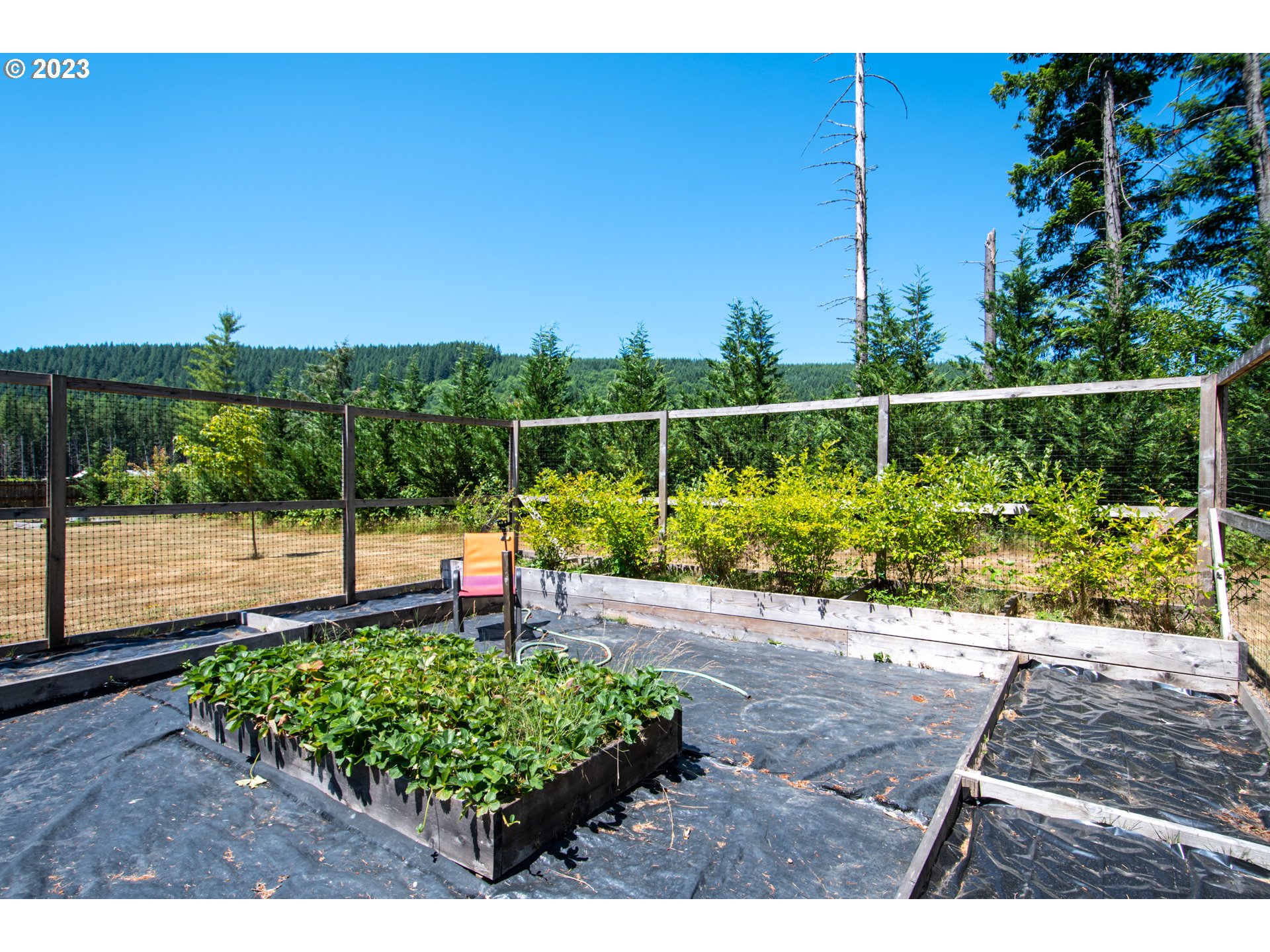 30400 Northeast Healy Road Amboy, WA 98601 - Photo 28 of 48 a view of a backyard