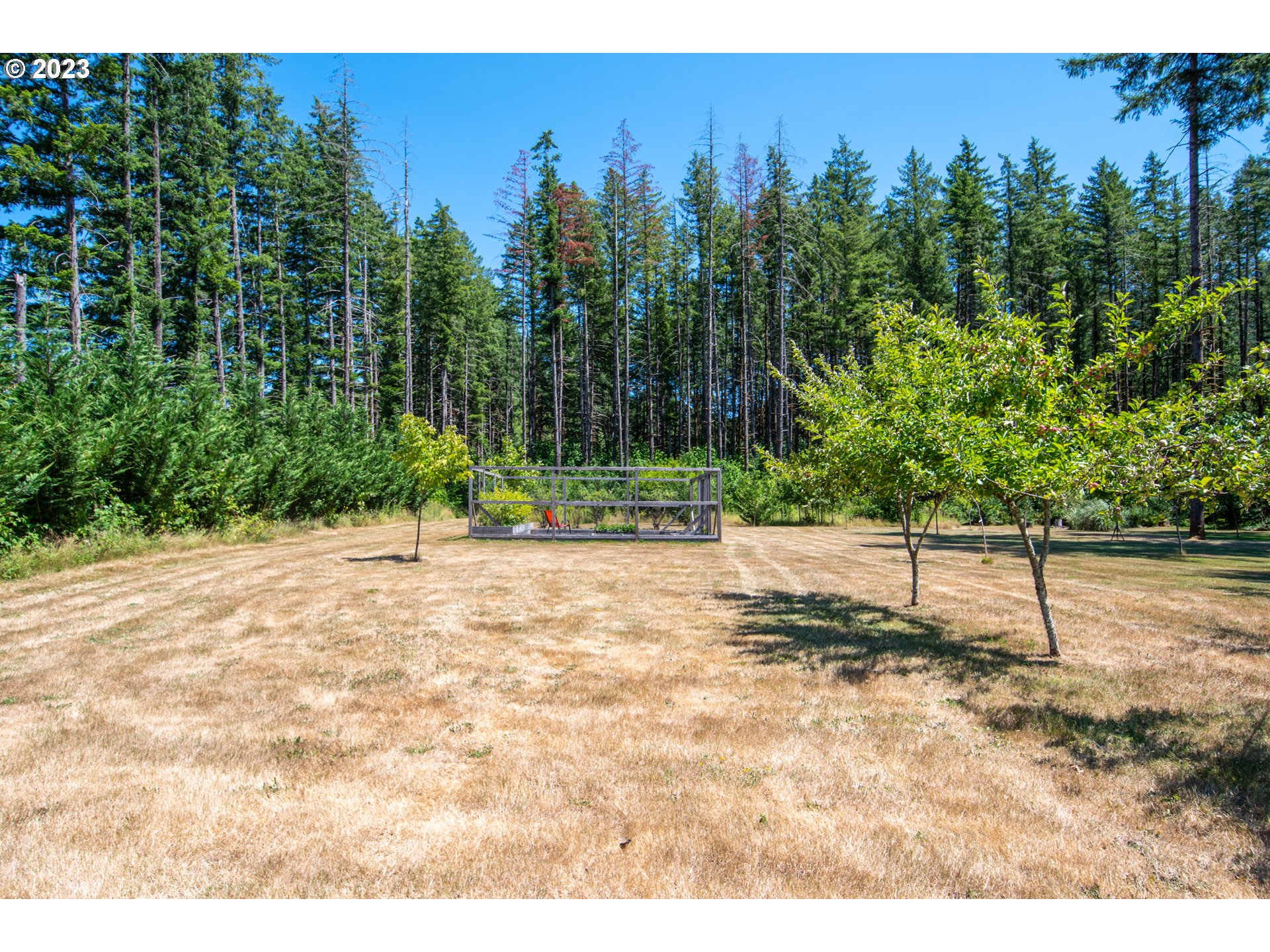 30400 Northeast Healy Road Amboy, WA 98601 - Photo 31 of 48 a view of a backyard