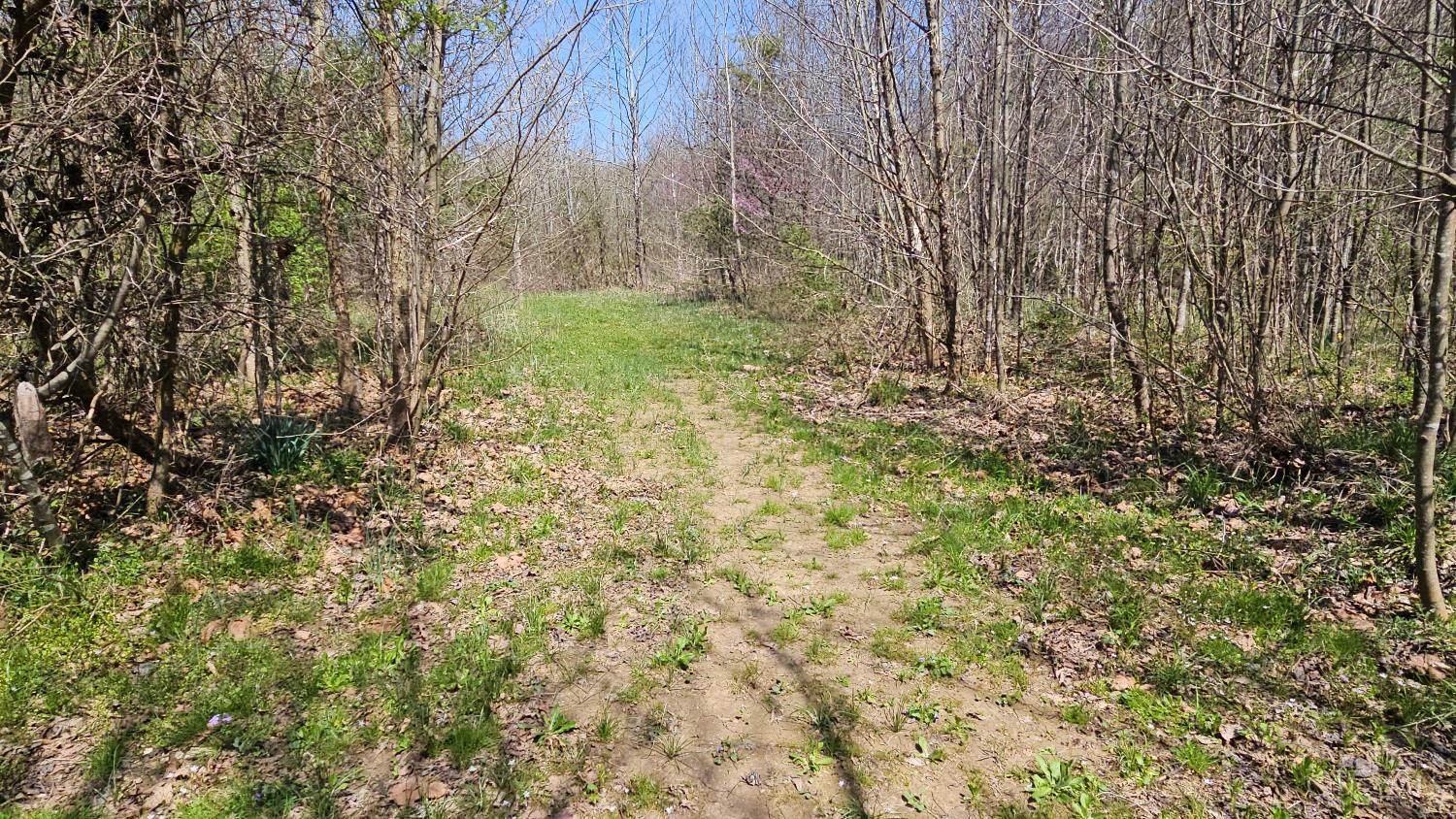 0 Spruce Hollow Road South Webster, OH 45682 - Photo 53 of 54