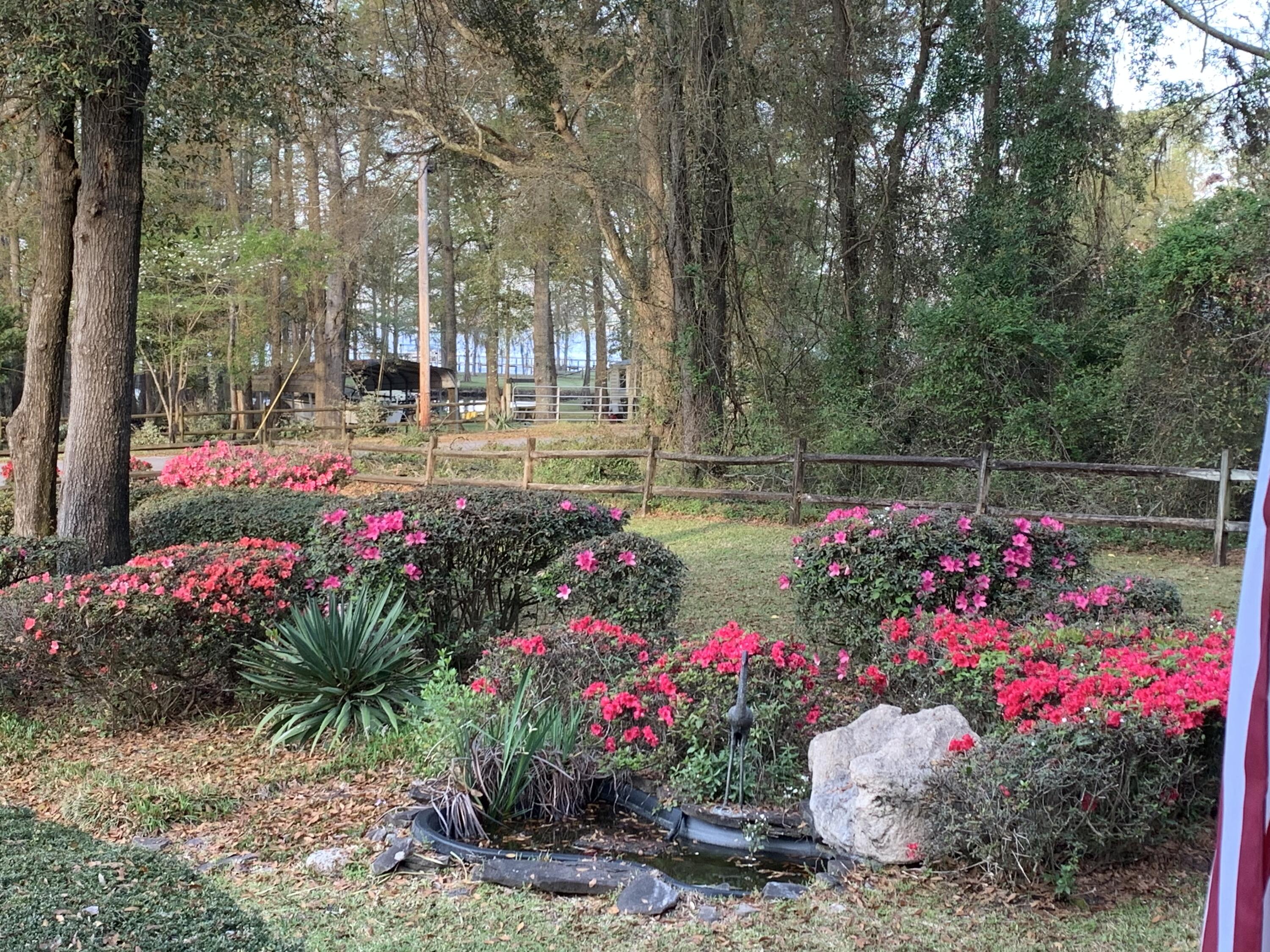 3655 Princess Pond Road Summerton, SC 29148 - Photo 3 of 23 IMG_1813