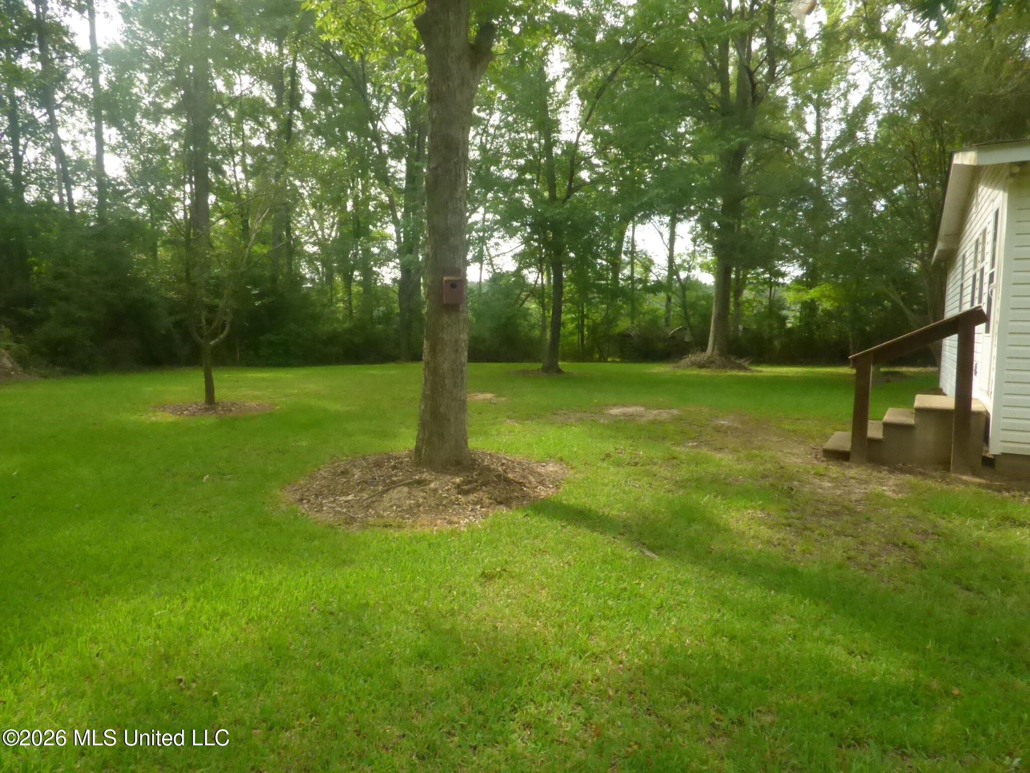 3739 Kahnville Road Gloster, MS 39638 - Photo 15 of 22 P1350780