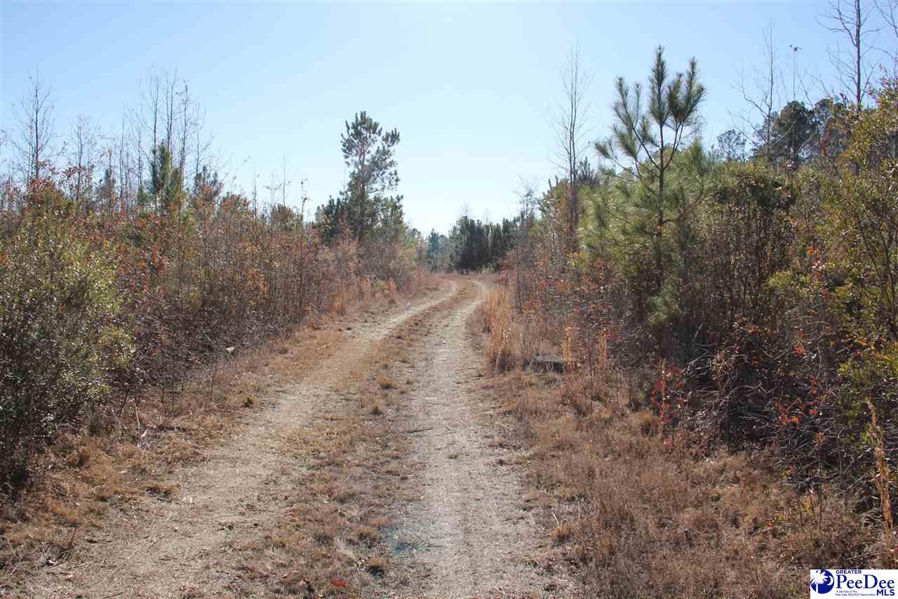 0 Country Manor Road Lamar, SC 29069 - Photo 14 of 15 Gallery Image 14