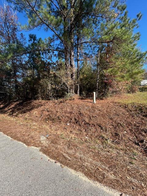 5485 Mayrant Road Rembert, SC 29128 - Photo 3 of 21 Gallery Image 3