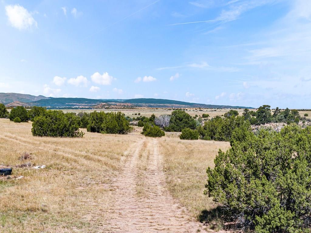7015 South Burnt Mill Road Beulah, CO 81023 - Photo 35 of 55 Gallery Image 35