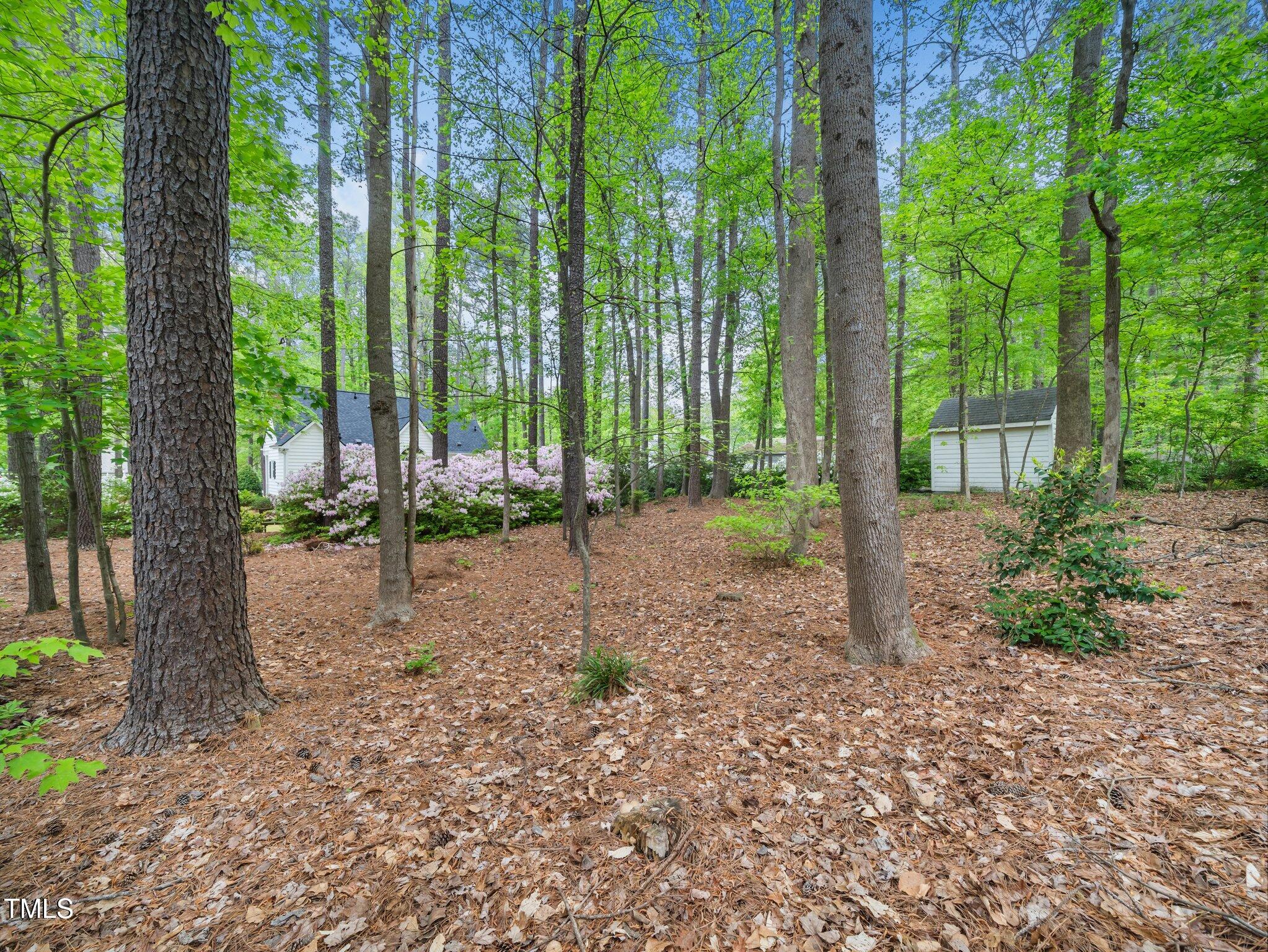 2001 Virginia Dare Place Raleigh, NC 27610 - Photo 39 of 45 32-web-or-mls-2001 Virgina Dare-140