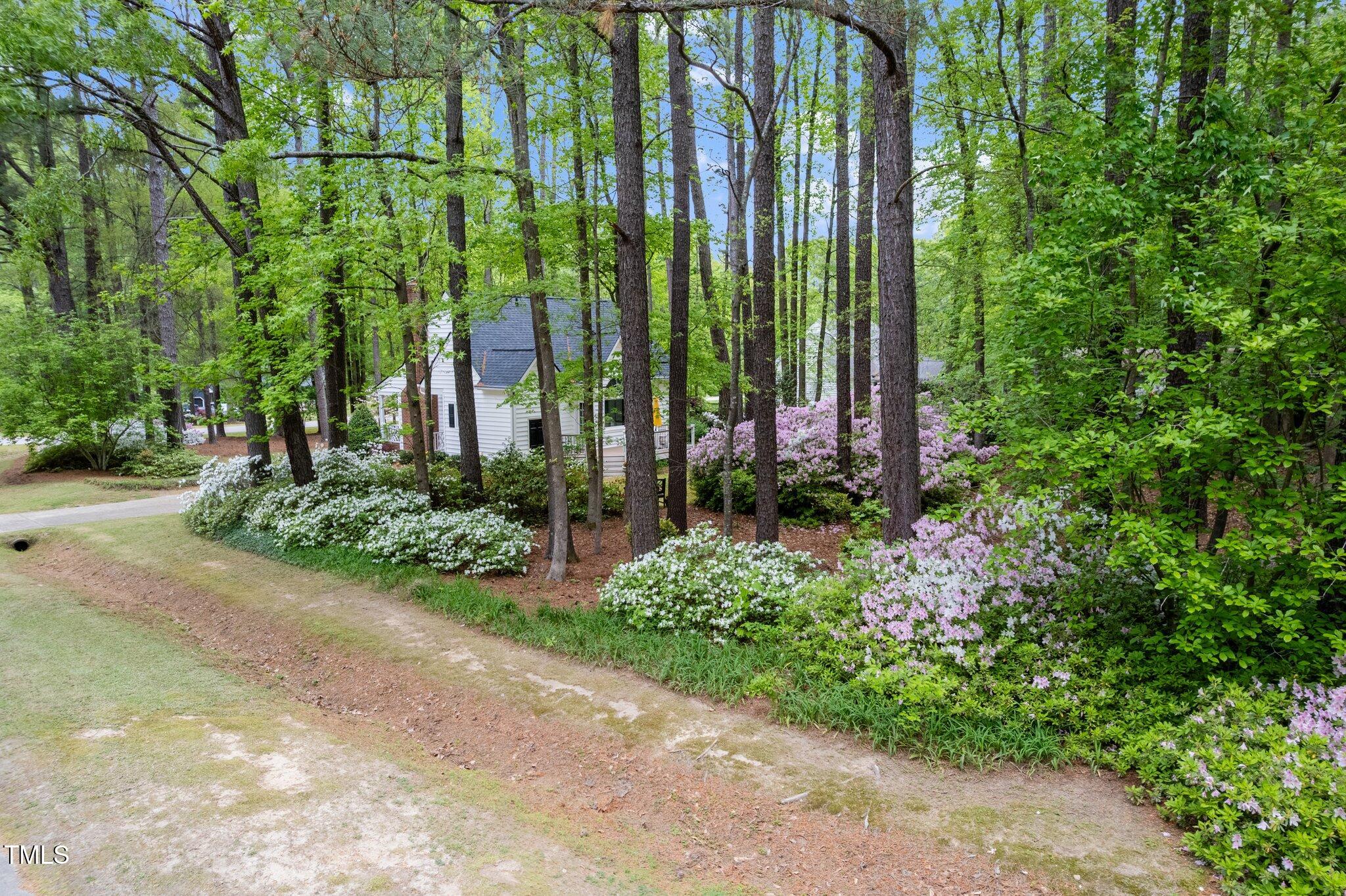 2001 Virginia Dare Place Raleigh, NC 27610 - Photo 7 of 45 40-web-or-mls-2001 Virgina Dare-7