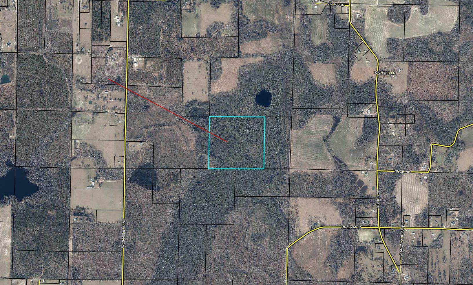 80-acres Wes Nelson Road Cottondale, FL 32431 - Photo 2 of 2 40 Acre Aerial #2