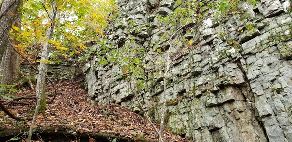 $575,000 | 3155 Pigeon Spur Road, South Pittsburg, TN 37380