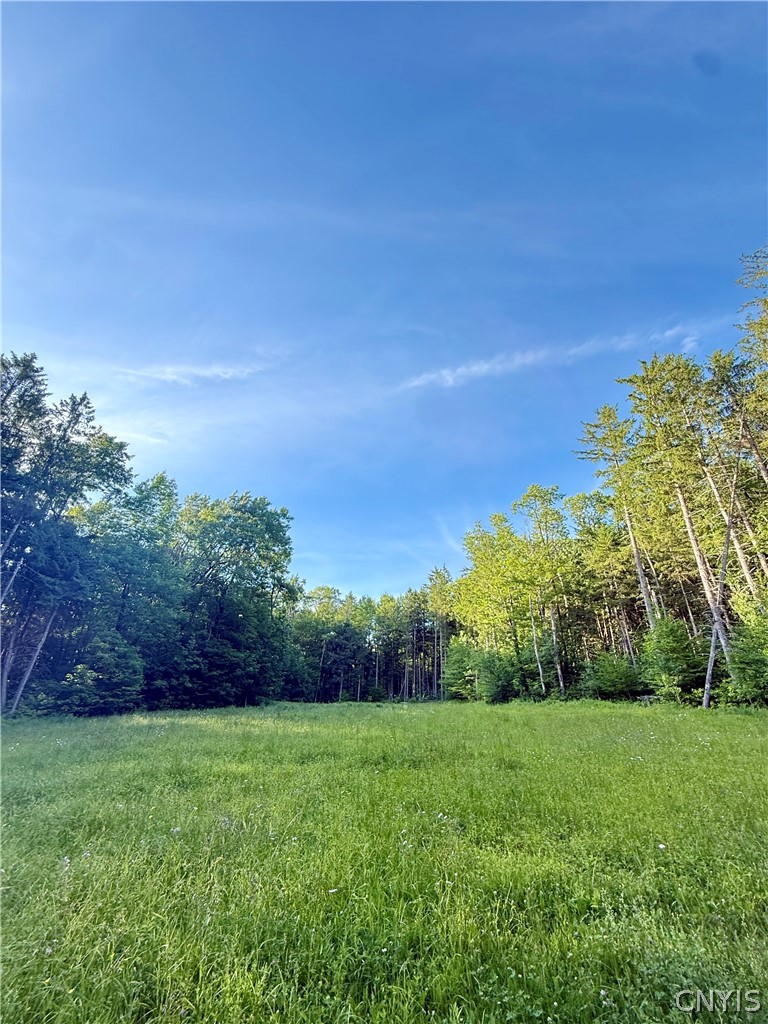 9191 Furman Mills Road Brookfield, NY 13460 - Photo 6 of 30