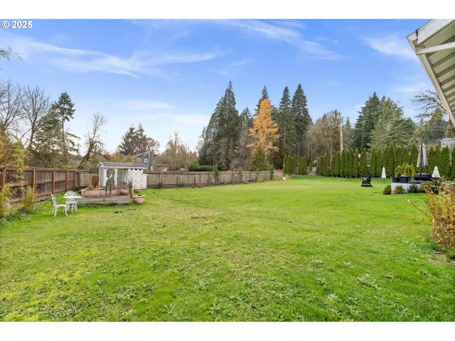 a view of a park with large trees