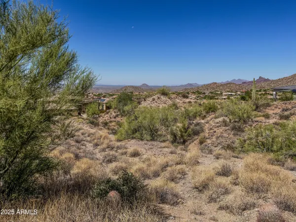 a view of a dry yard with mountains in the background