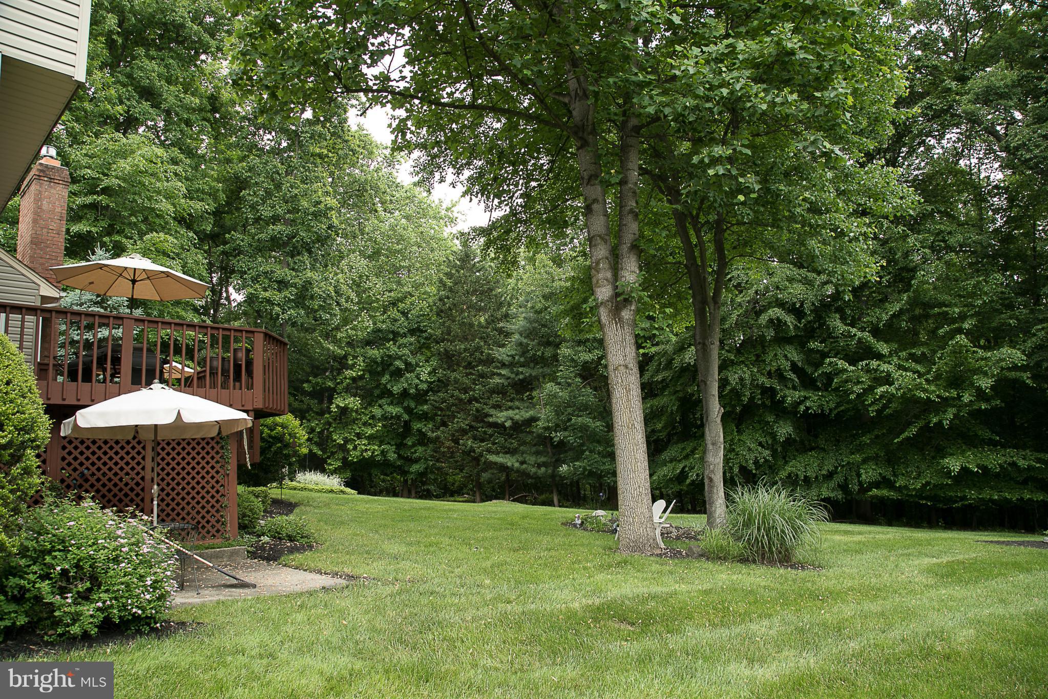8530 Autumn Rust Road Ellicott City, MD 21043 - Photo 23 of 28 BEAUTIFUL FLAT LANDSCAPED YARD