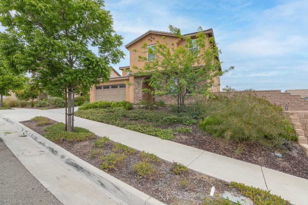 45522 Zander Court Temecula, CA 92592 - Photo 4 of 58 a view of a house with a yard and large tree
