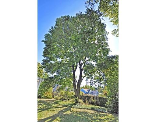 80 Puritan Road Newton, MA 02468 - Photo 17 of 21 Gallery Image 17